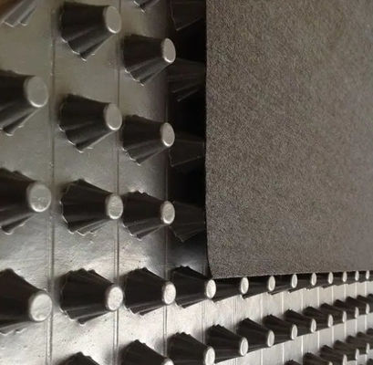 Qualità  Black HIPS Dimple Plastic Drainage Board ISO9001 Certificated fabbrica