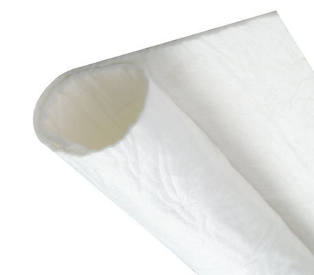 Panno non tessuto 800 G/㎡ del tessuto di Geo del geotessuto del filamento non tessuto
