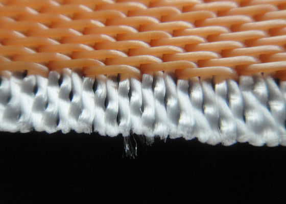 Porcellana Tessuto filtrante della cinghia di desolforazione del reticolato del monofilamento del poliestere fabbrica