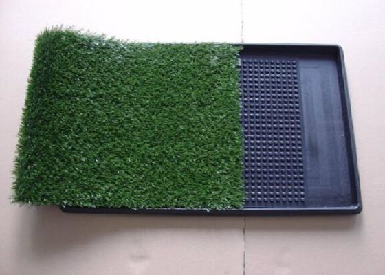 Tappeto erboso artificiale verde dell'animale domestico/erba artificiale del tappeto erboso per i cani rispettosi dell'ambiente